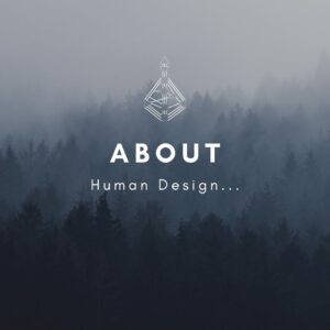 about human design