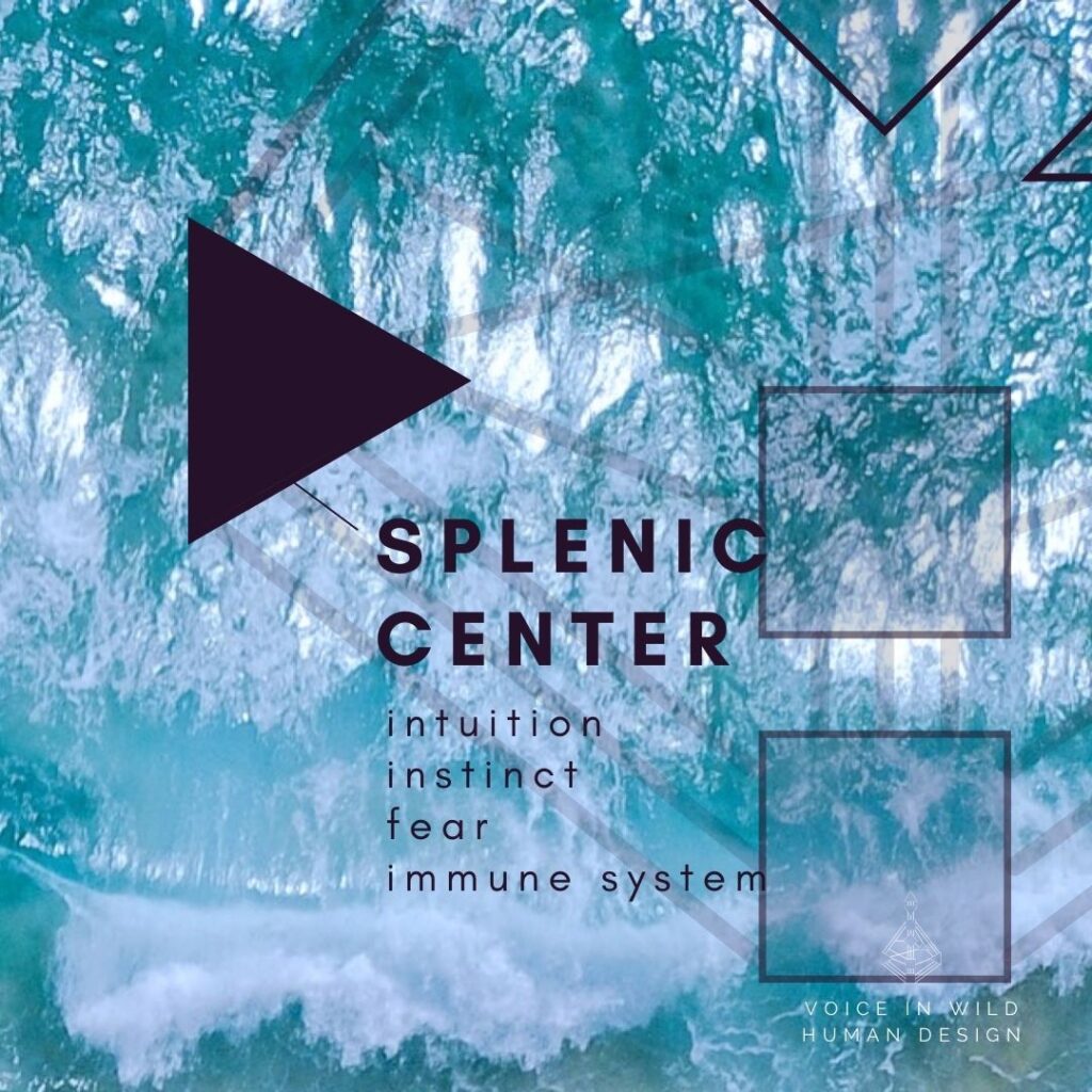 splenic center