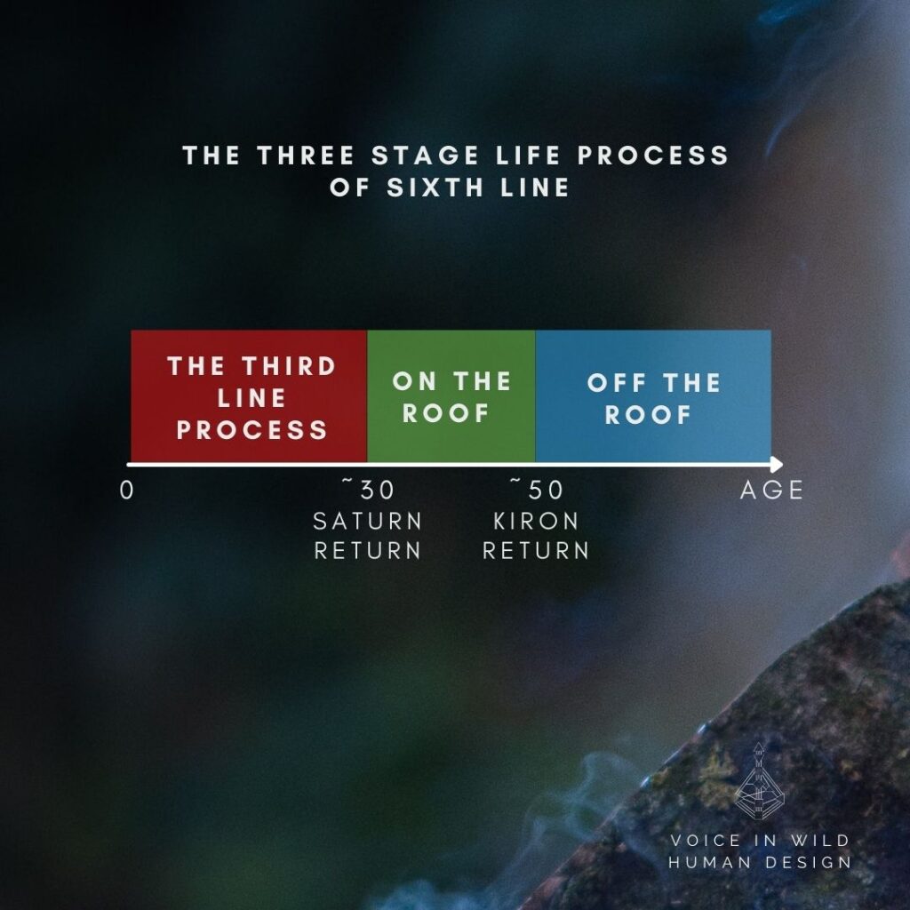 three stage life process