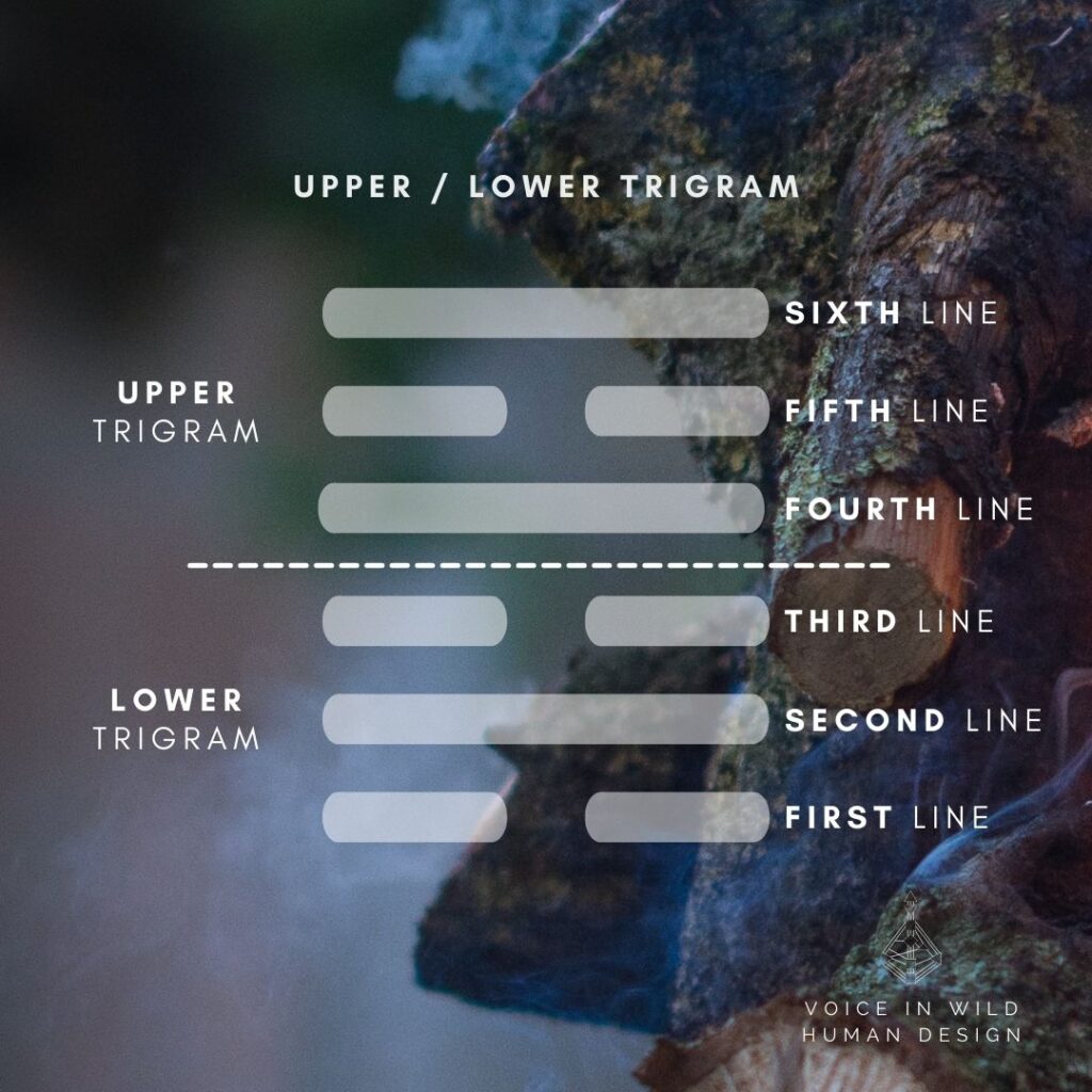 upper and lower trigram